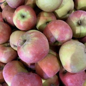 Apfel Wellant 1kg