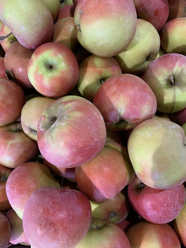 Apfel Wellant 1kg