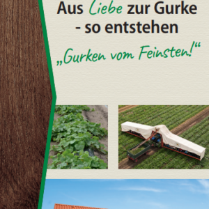 Flyer "Gurkenspezialitäten"