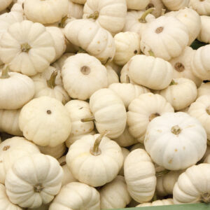 Baby Boo Mikrowellenkürbis (zum Füllen) 0,2kg