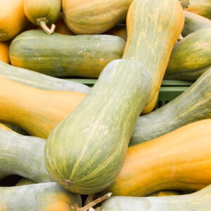 Butternutkürbis 1kg