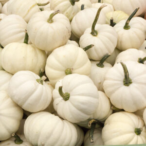 „Casperita“ Mikrowellenkürbis 0,45kg