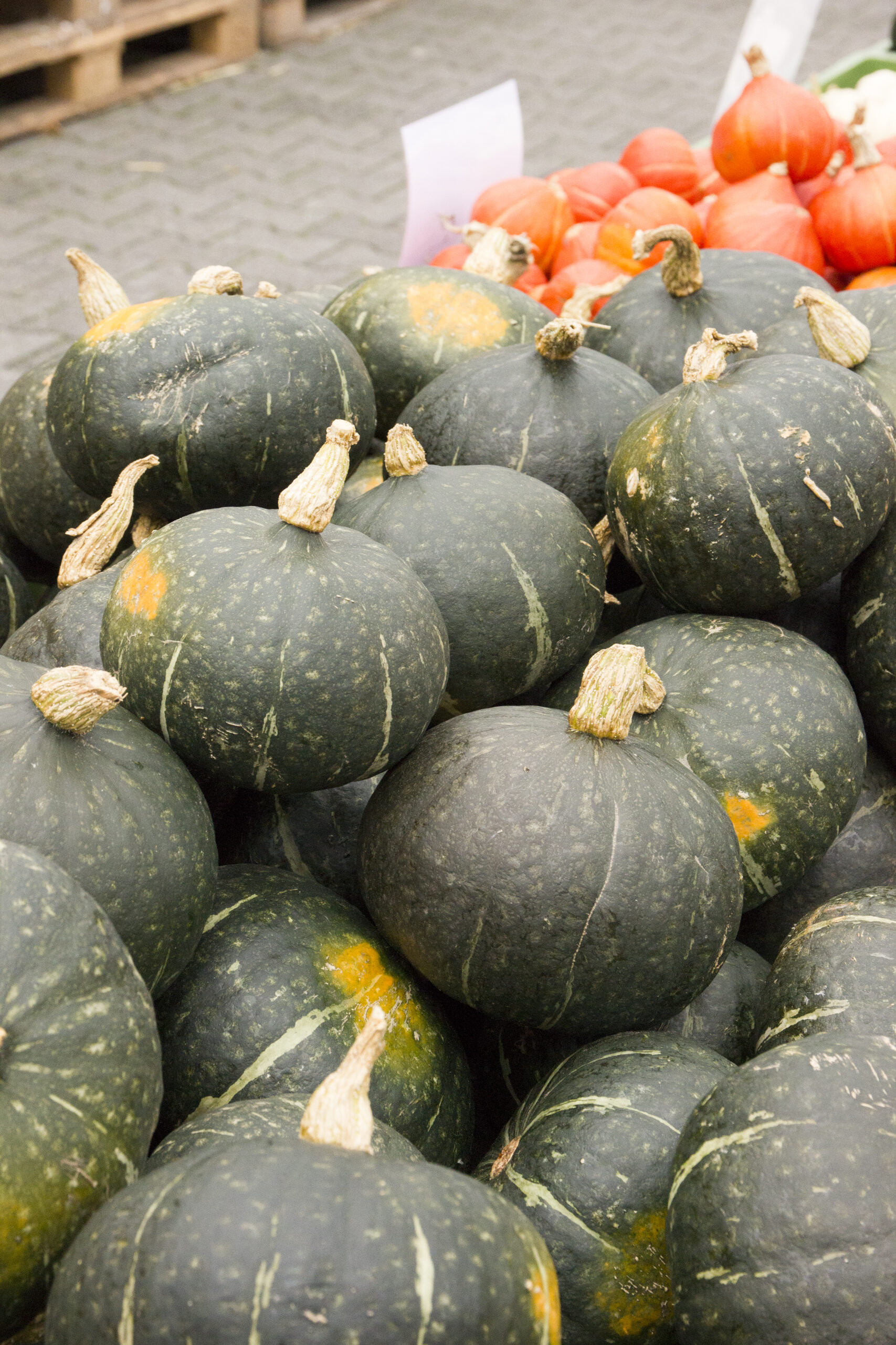 Green Hokkaido 1,3kg