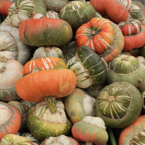 Bischhofsmütze (Turban) rot (bunt) 1,9kg