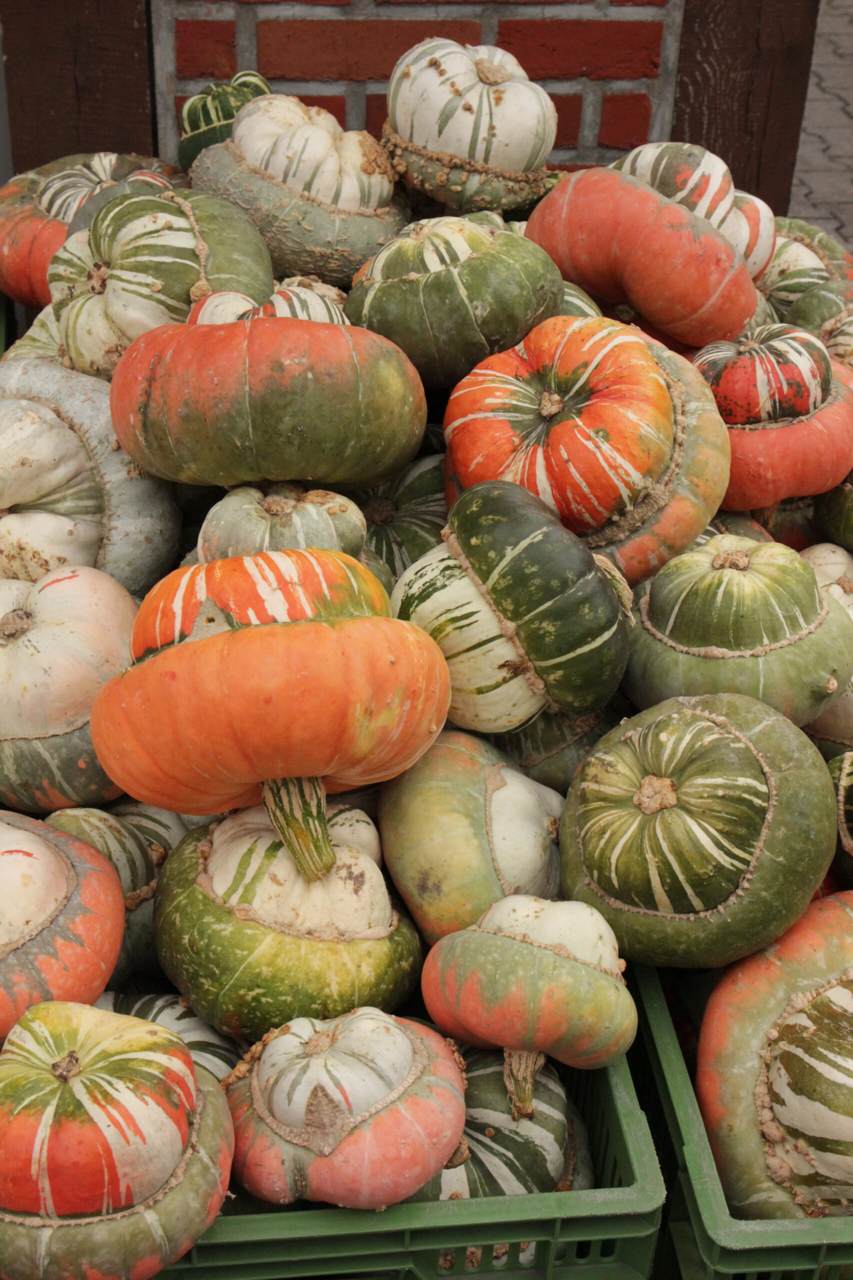 Bischhofsmütze (Turban) rot (bunt) 1,9kg