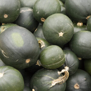 Rondini-/Mikrowellenkürbis (zum Füllen) 0,25kg